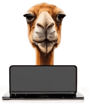 Camel Logo